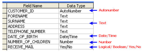 teach-ict-gcse-ict-database-terminology-fields-tables-files