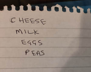 a shopping list is a basic database