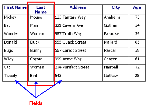 Teach ICT GCSE ICT Database Terminology Fields Tables Files 