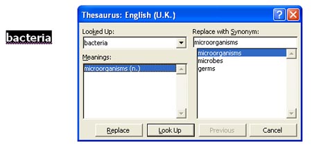 how to use the thesaurus in word